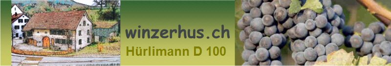 H�rlimann D 100